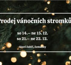 PRODEJ VÁNOČNÍCH STROMKŮ STARÉ ZUBŘÍ – ZEMANKY