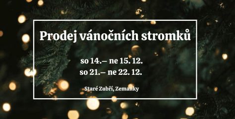 PRODEJ VÁNOČNÍCH STROMKŮ STARÉ ZUBŘÍ – ZEMANKY